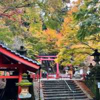【奈良】歴史ある神社に美しい紅葉