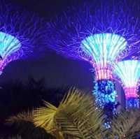 旅遊推介 新加坡🇸🇬站SupertreeGrove