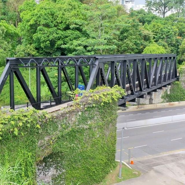 火車迷必到Rail Corridor@武吉知馬自然保護區