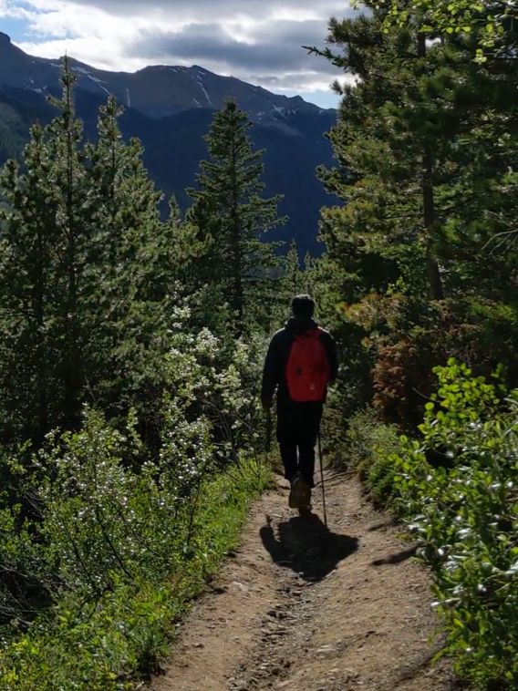 Sulphur Mountain Trail