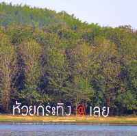 นั่งแพชมวิว กินบรรยากาศที่ ห้วยกระทิง 