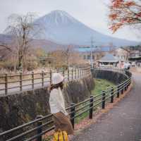 🗻SAIKO Iyashi no sato NENBA