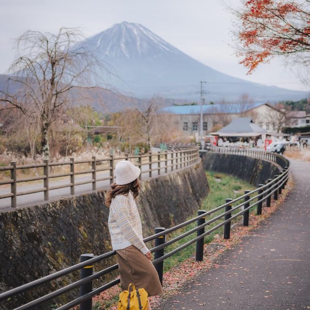 🗻SAIKO Iyashi no sato NENBA