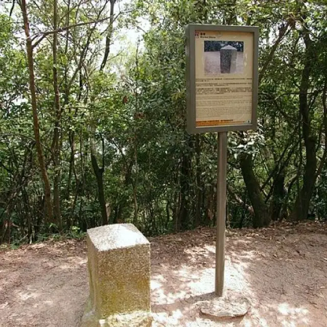 發現獅子山郊野公園的奇事