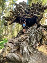 Sequoia National Park