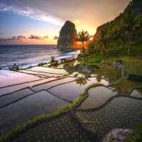 PANGASAN BEACH : PACITAN
