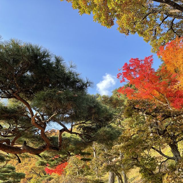 화담숲에서 자연을 느껴요