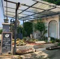 Oasis Café ป่ากลางเมือง พิษณุโลก