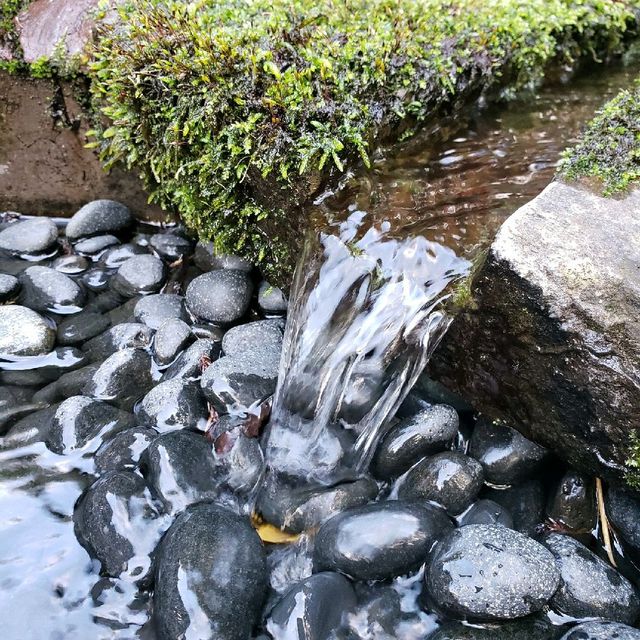 【箱根神社】成就水盤