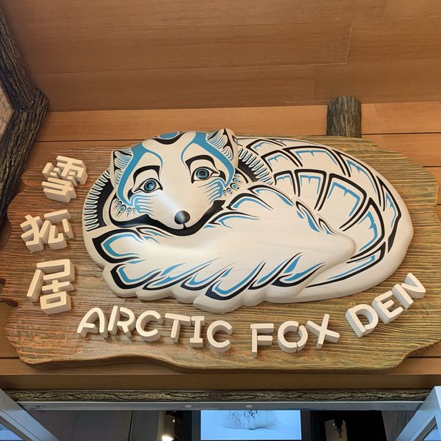 好奇北極狐習性和外貌