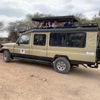 wildss at Ngorongoro 