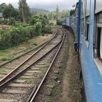 the scenic train ride Nanu Ota-Elle