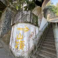 行山：香港大學—龍虎山—西高山—山頂