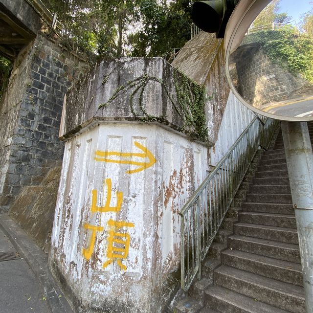 行山：香港大學—龍虎山—西高山—山頂