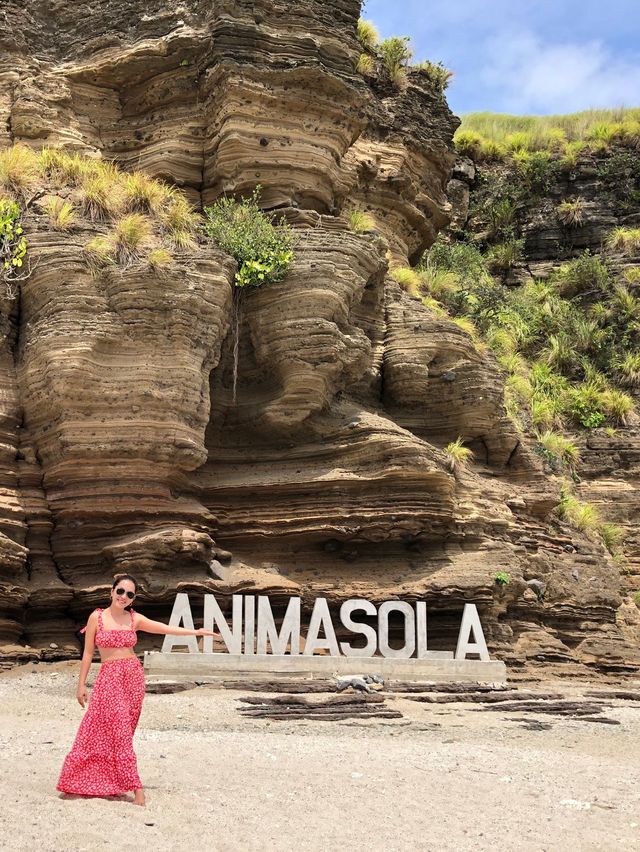 Animasola Island🏝