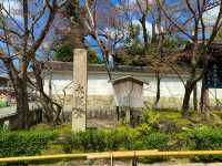 京都　SAKURA 桜めぐり❗️永観堂の桜に感動❗️