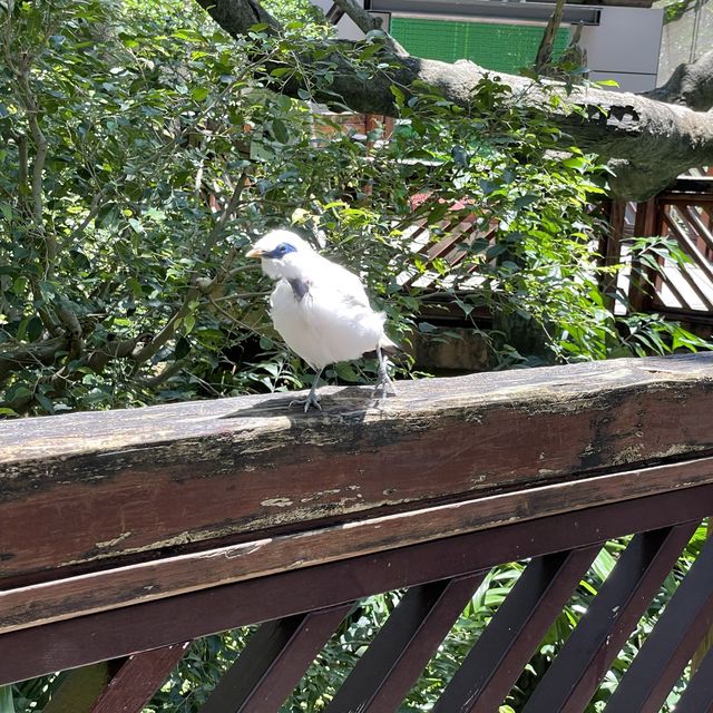 尤德觀鳥園@香港公園