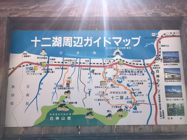 青森縣十二湖青池絕美㊙️境🤩🤩🤩