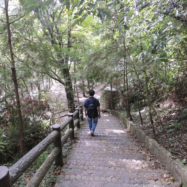 魅力森林奧萬大🌲🌲🌲