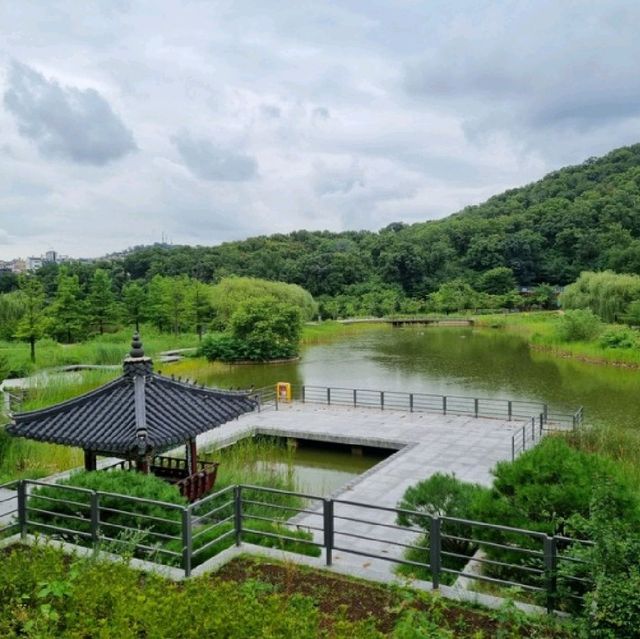☔️비 오는 날 운치있는 북서울꿈의숲 월영지
