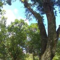 角板山公園，復興公園