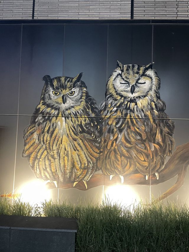 홍대와 접근성도 좋고 침구가 정말 편안한 머큐어앰버서더 서울 홍대