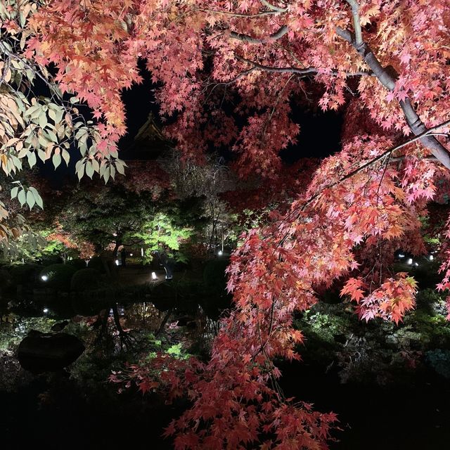 【京都】東寺 紅葉ライトアップ