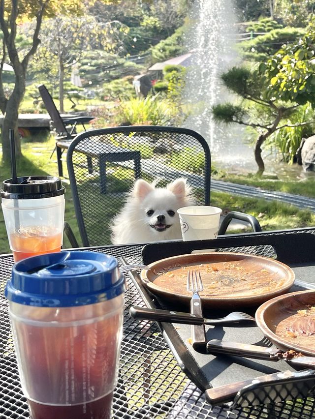 넓은 정원이 있는 애견동반 카페,베르데🌿
