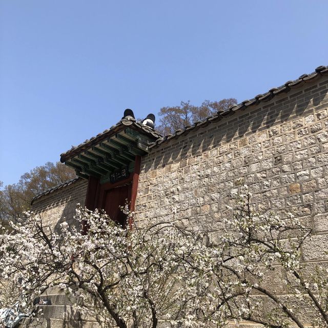 (창덕궁)힐링 여행