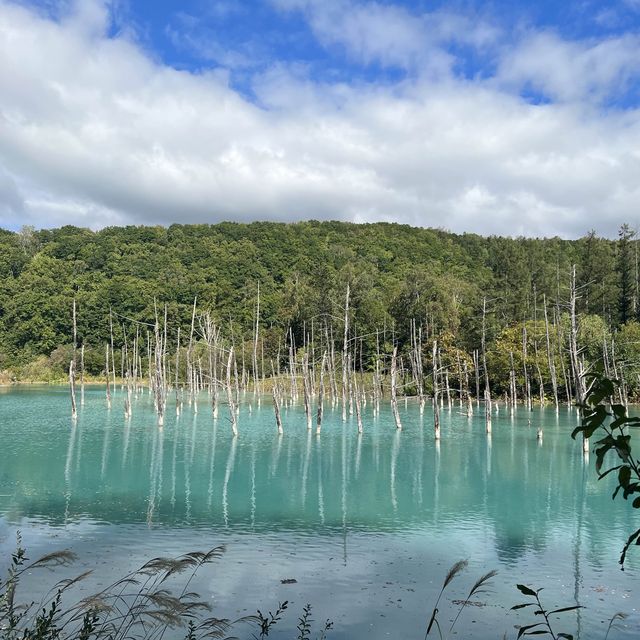 北海道trip✈️〜その1〜