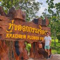 _+_+_อุทยานแห่งชาติป่าหินงาม_+_+_🐈🐾