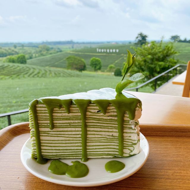 ไร่ชาฉุยฟง จ.เชียงราย : Choui Fong Tea Plantation