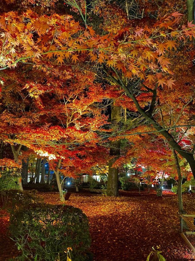 紅葉の永観堂🍁