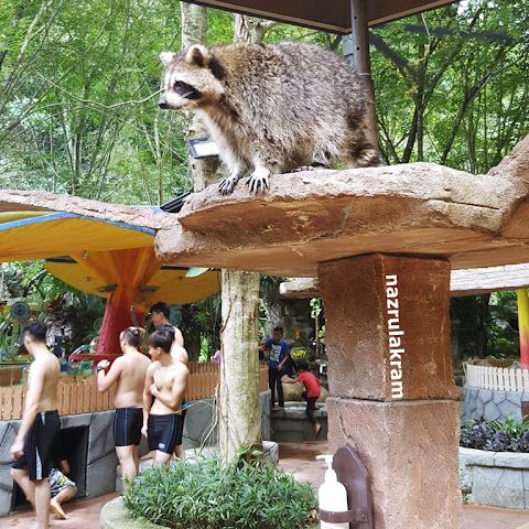 LOST WORLD OF TAMBUN IPOH!!!