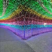 千葉県！ドイツ村のイルミネーションその③