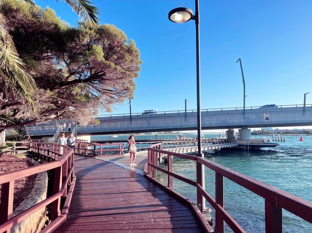 Mandurah Foreshore! More Christmassy Clicks😎