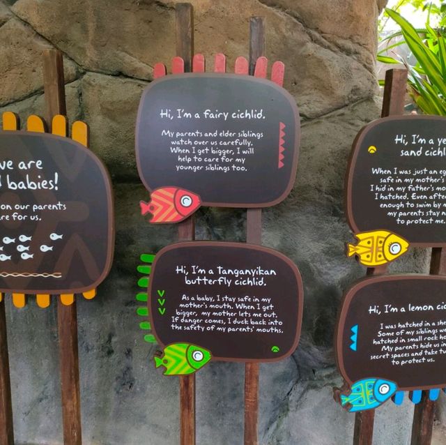 Asia's first and only river-themed park