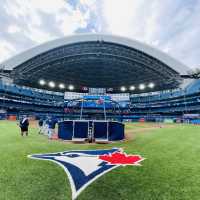 home of Toronto BlueJays!