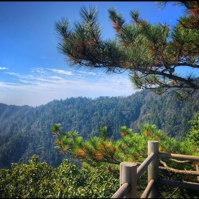 Beautiful hike in Tianmushan 🏔 