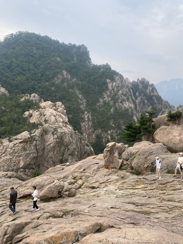 설악산 케이블카타고 인생샷여행하기🚡