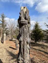 국가별 나무화석들로 꾸며진 공원, 장하 국제 수목 화석림.