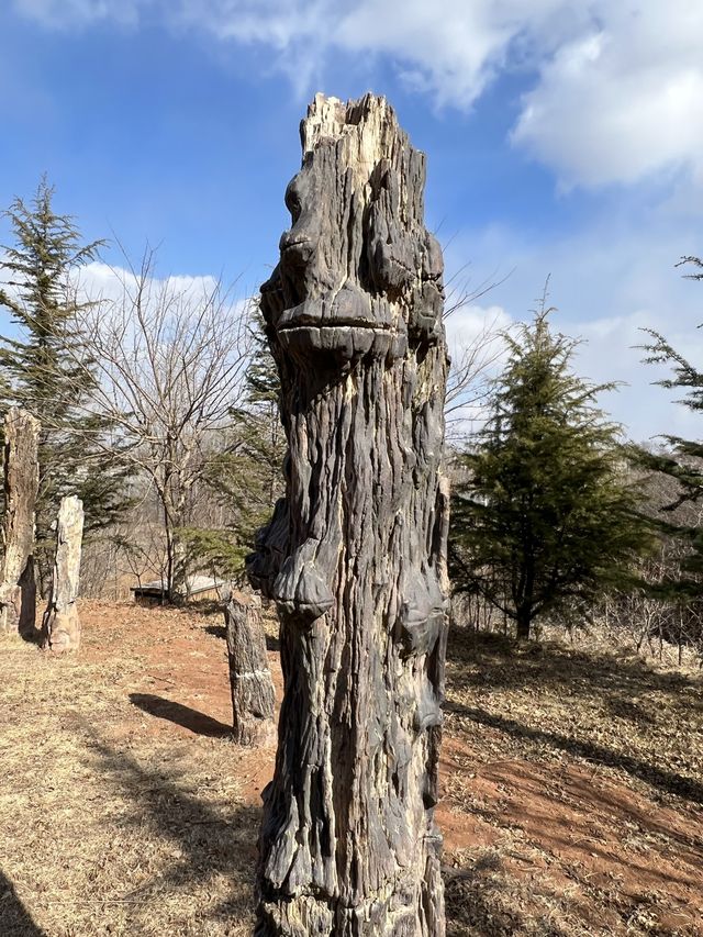 국가별 나무화석들로 꾸며진 공원, 장하 국제 수목 화석림.