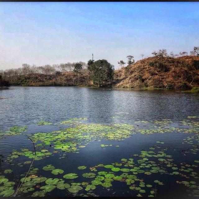 Baikka Beel Wetland Sanctuary