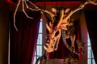 Hog's Head Phuket ร้านหัวหมู ภูเก็ต