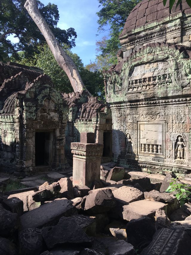 The most beautiful photo frame in the world - Preah Khan: The Triumphal Temple of the God King.