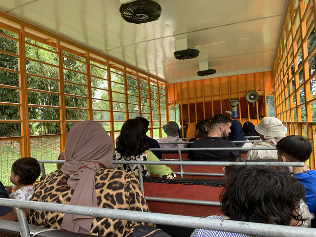 A day trip to the surprising Malaysia Wildlife Park.