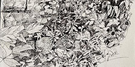 ‘Forest Garden’ Seasonal Drawing Retreat - Spring 2024 | High Dalby House and Cottages