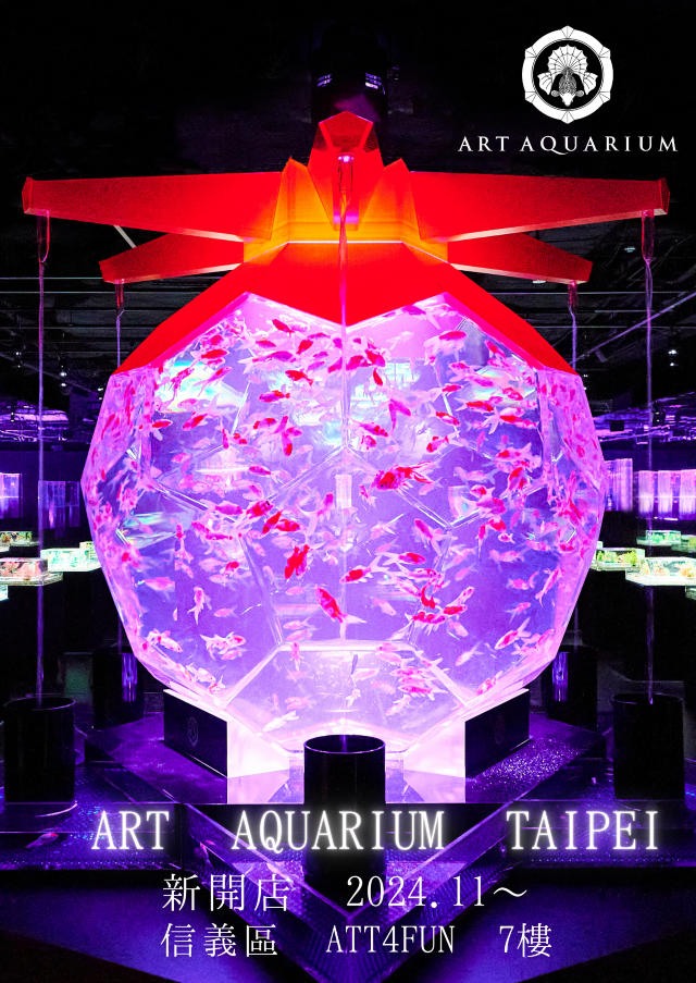 Art Aquarium(金魚藝術展) in Taipei | 台北