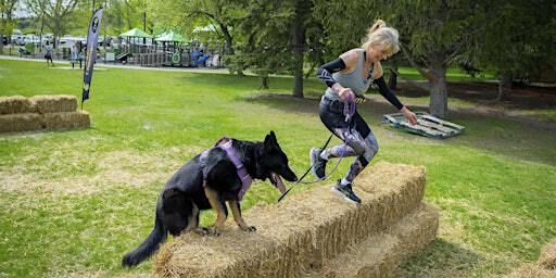 Zulu K9 Challenge Calgary | Edworthy Park