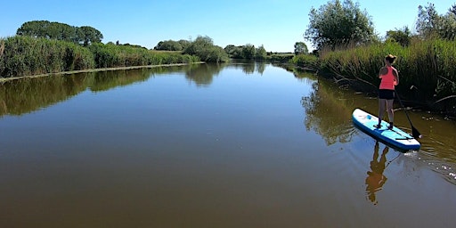 1:1 SUP Coaching For Beginners on The River Avon | Arden Sailing Club